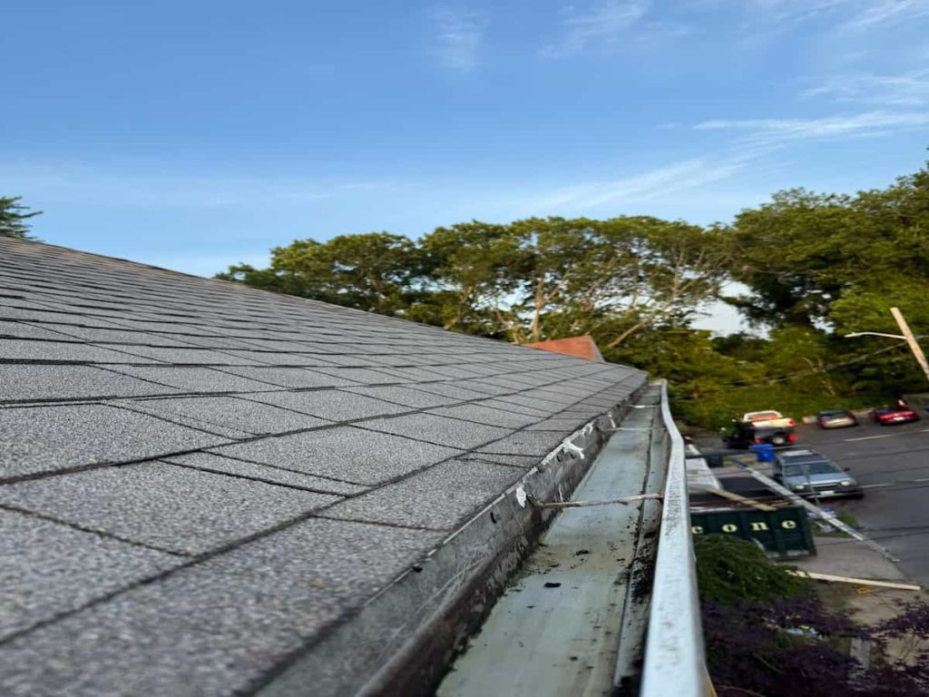 Gutter Cleaning Services